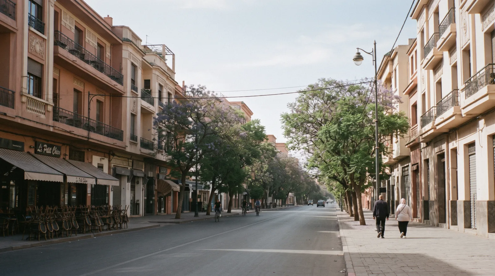 Wide avenue with deep-balconied 1930s facades and jacaranda in flower, Gueliz Marrakech